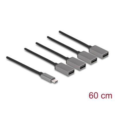 Delock 4 Port USB 2.0 Cable Hub with USB Type-C™ connector 60 cm 2
