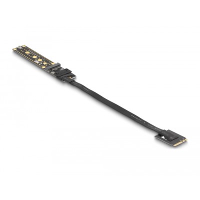 Delock Riser Card NVMe M.2 Key A+E male to Key M Slot with 20 cm cable 2
