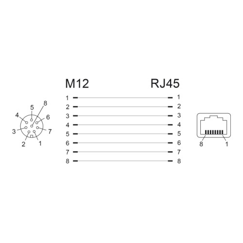 Delock Network Adapter M12 8 pin A-coded female to RJ45 jack