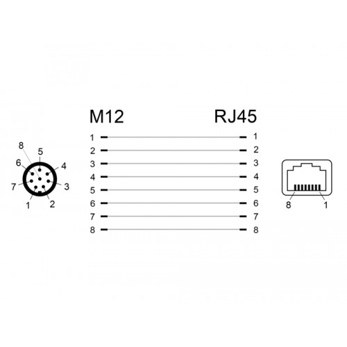 Delock Network Adapter M12 8 pin A-coded male to RJ45 jack
