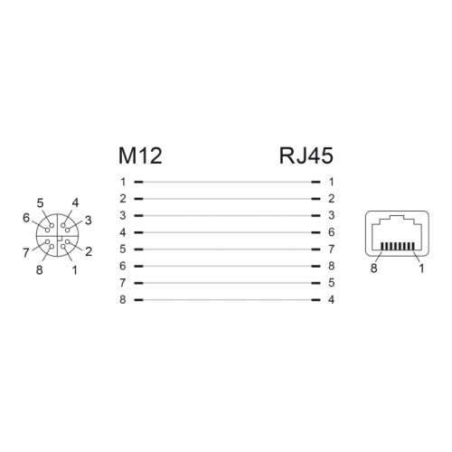 Delock Network Adapter M12 8 pin X-coded female to RJ45 jack