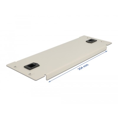 Delock 10″ Network Cabinet Blind Cover tool free 2U grey 2