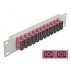 Delock 10″ Fiber Optic Patch Panel 12 Port SC Duplex violet 1U grey