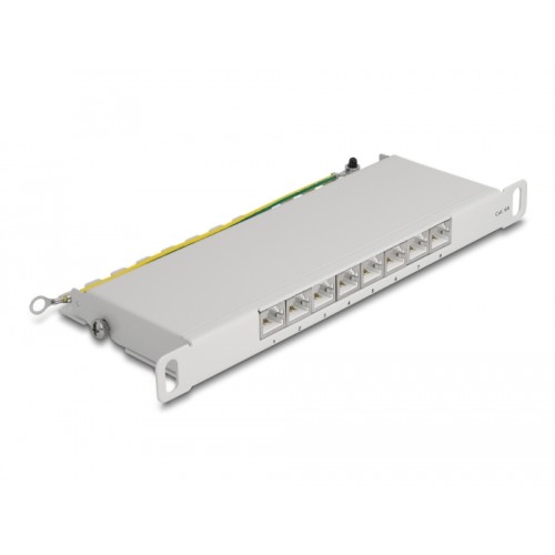 Delock 10″ Patch Panel 8 port Cat.6A 0.5U grey