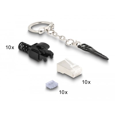 Delock RJ45 Modular plug Cat.6A lockable 10 pcs Set