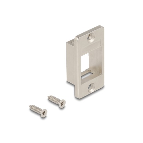 Delock Keystone Holder for cases conical