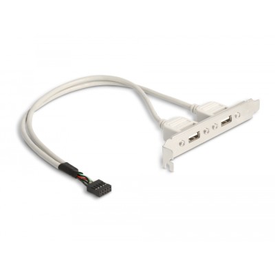 Delock Slot bracket 2 x USB 2.0 type A female external
