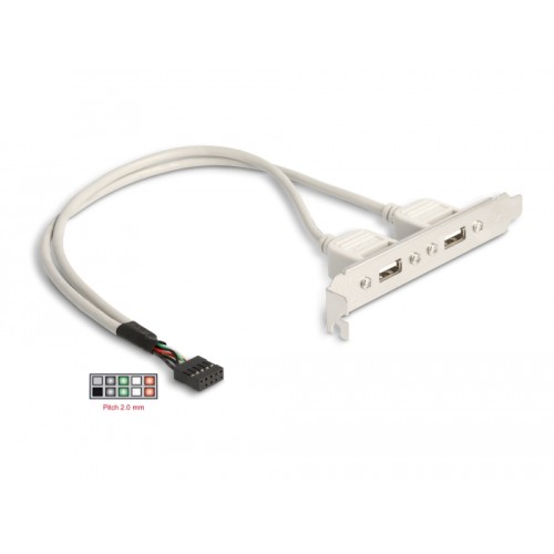 Delock Slot bracket 2 x USB 2.0 type A female external