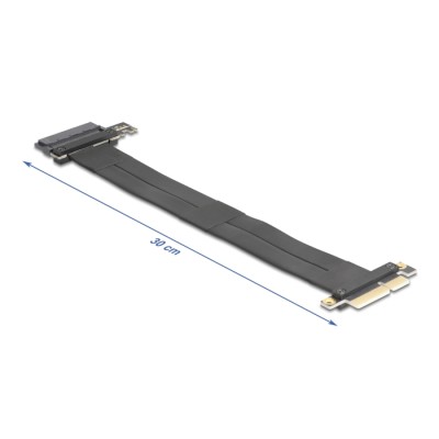 Delock Riser Card PCI Express 3.0 x4 male to U.2 SFF-8639 SSD slot with cable 30 cm 2