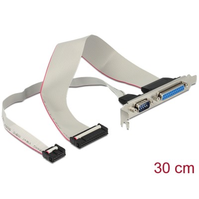Delock Slot Bracket > 1 x Serial, 1 x Parallel