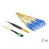 Delock Optical Fiber Cable MPO female to 12 x SC Simplex male, Single-mode, 9/125 µm, 2 m