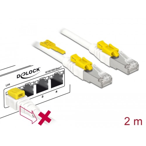 Delock Cable RJ45 Secure Cat.6A 2 m