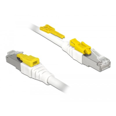 Delock Cable RJ45 Secure Cat.6A 2 m 2