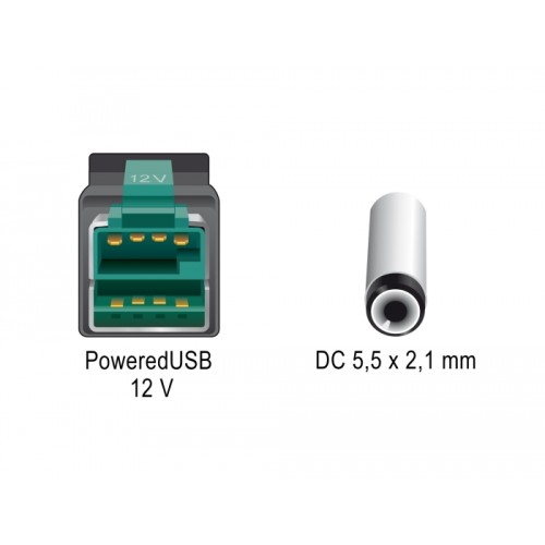 Delock PoweredUSB cable male 12 V > DC 5.5 x 2.1 mm male 2 m for POS printers and terminals