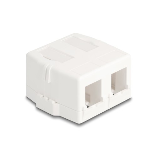 Delock Keystone Surface Mounted Box 2 Port with magnetic bottom, white