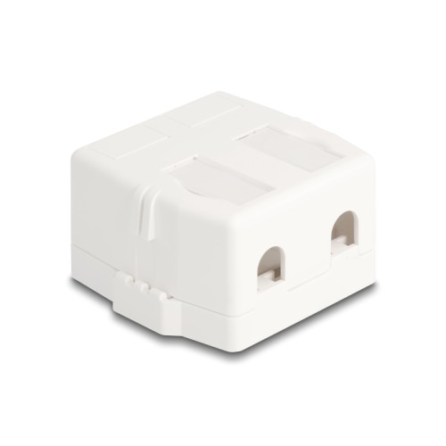 Delock Keystone Surface Mounted Box 2 Port with magnetic bottom, white