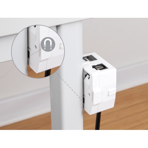 Delock Keystone Surface Mounted Box 2 Port with magnetic bottom, white