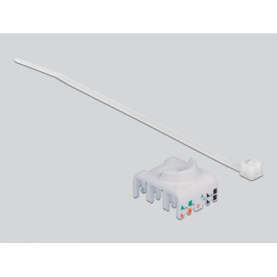 Delock DIN rail Adapter with Keystone Module RJ45 jack Cat.6A LSA 2