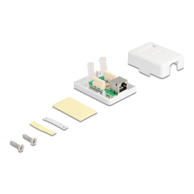 Delock Modular Wall Outlet 1 Port Cat.6