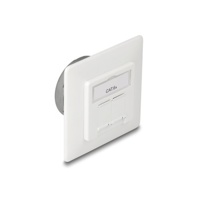 Delock Modular Wall Outlet flush mount 2 Port RJ45 Cat.6A LSA