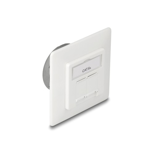 Delock Modular Wall Outlet flush mount 2 Port RJ45 Cat.6A LSA