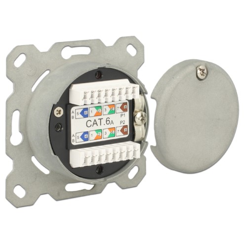 Delock Modular Wall Outlet flush mount 2 Port RJ45 Cat.6A LSA
