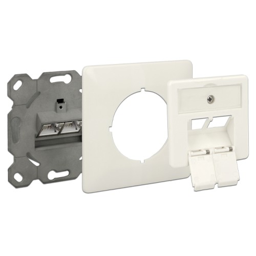 Delock Modular Wall Outlet flush mount 2 Port RJ45 Cat.6A LSA