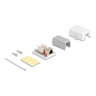 Delock Network Wall Outlet 1 Port Cat.6A LSA
