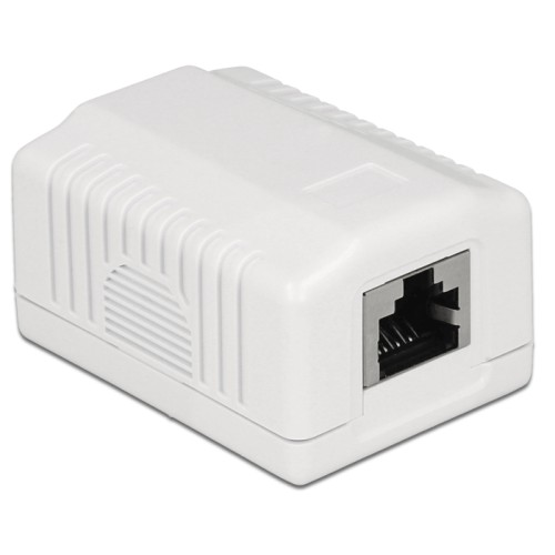 Delock Network Wall Outlet 1 Port Cat.6A LSA