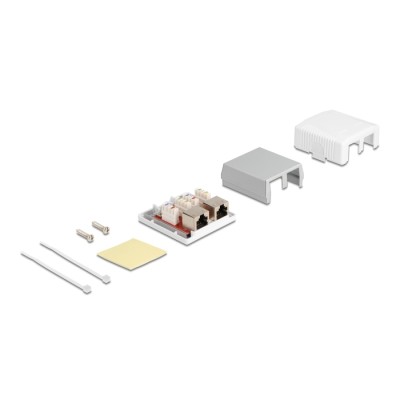 Delock Network Wall Outlet 2 Port Cat.6A LSA