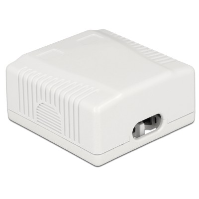 Delock Network Wall Outlet 2 Port Cat.6A LSA 2