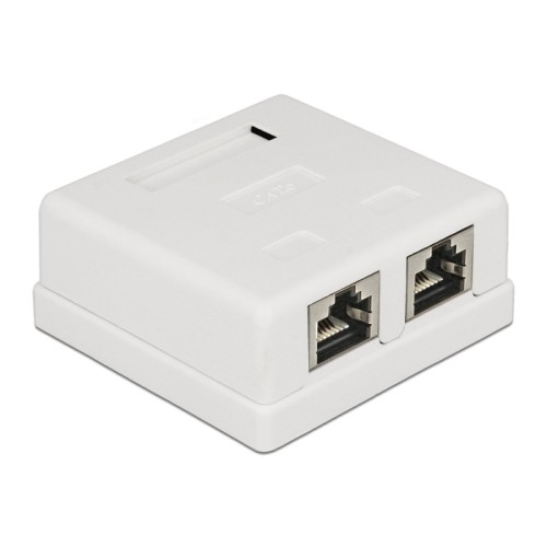 Delock Modular Wall Outlet 2 Port Cat.6