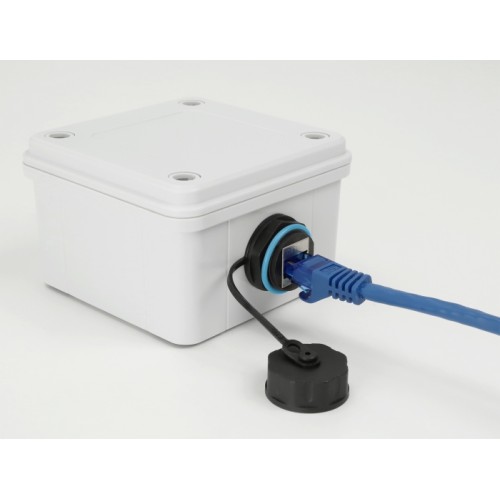 Delock Cable Connector RJ45 jack to RJ45 jack Cat.6A with protective cap waterproof