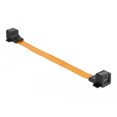 Delock RJ45 FPC (Flexible Printed Circuit) window feed-through 30 cm 2