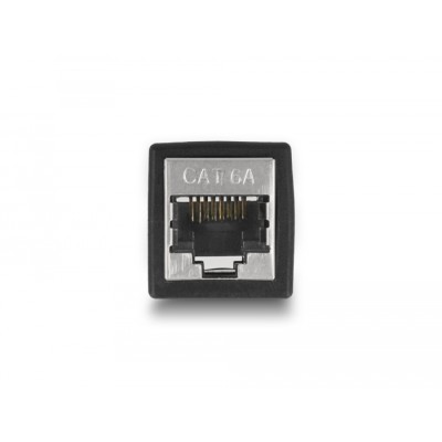Delock Adapter RJ45 jack to RJ45 jack Cat.6A black 2