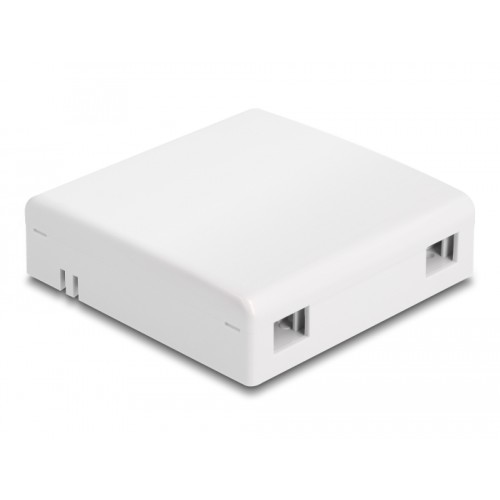 Delock Optical Fiber Connection Box for wall mounting for 2 x SC Simplex or LC Duplex white