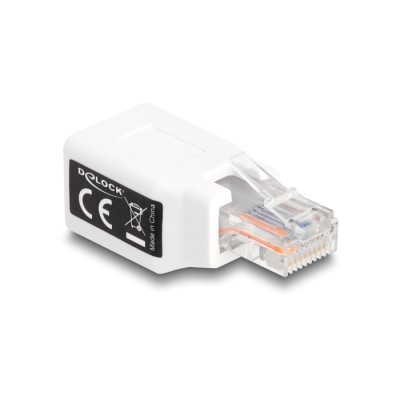 Delock RJ50 Adapter male to female white