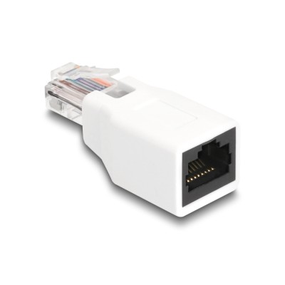 Delock RJ50 Adapter male to female white 2