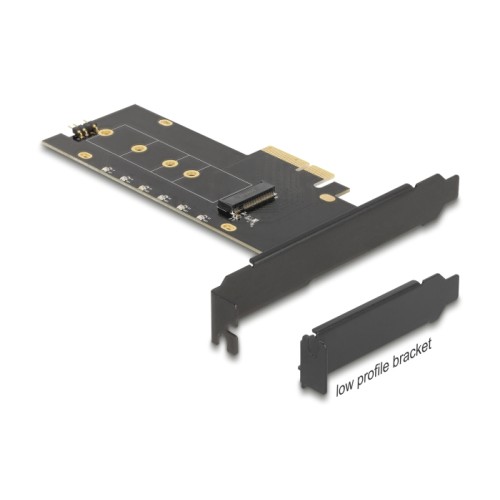Delock PCI Express x4 Card to 1 x internal NVMe M.2 Key M with heat sink and RGB LED illumination - Low Profile Form Factor