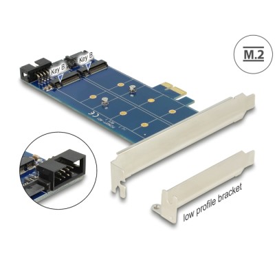Delock PCI Express Card > 2 x internal M.2 NGFF