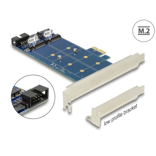 Delock PCI Express Card > 2 x internal M.2 NGFF