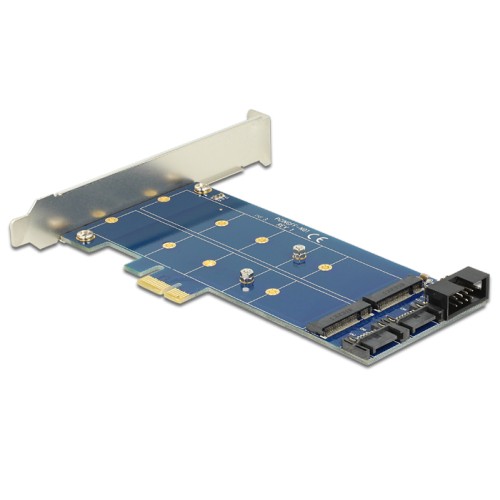 Delock PCI Express Card > 2 x internal M.2 NGFF