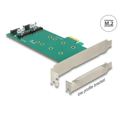 Delock PCI Express Card > 2 x internal M.2 Key B 110 mm - Low Profile Form Factor