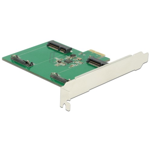 Delock PCI Express Card > 2 x internal mSATA