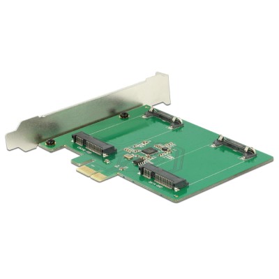 Delock PCI Express Card > 2 x internal mSATA 2