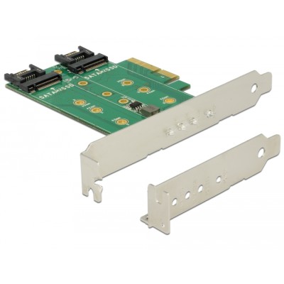 Delock PCI Express Card > 3 x M.2 Slot - Low Profile Form Factor 2