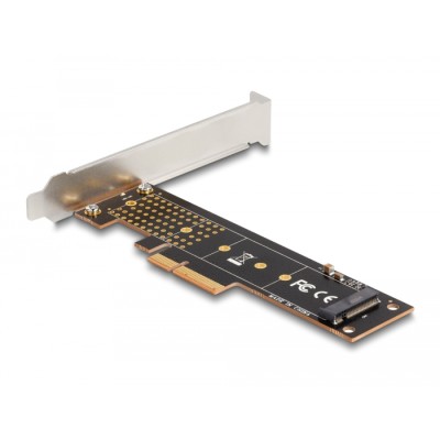 Delock PCI Express x4 Card to 1 x internal NVMe M.2 Key M 110 mm - Low Profile Form Factor 2
