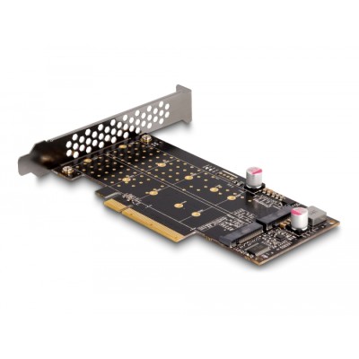 Delock PCI Express x8 Card to 2 x internal NVMe M.2 Key M - Bifurcation - Low Profile Form Factor 2