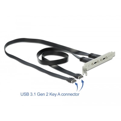 Delock USB 3.1 Gen 2 Slot Bracket with 2 x USB Type-C™ Ports
