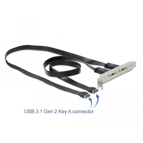 Delock USB 3.1 Gen 2 Slot Bracket with 2 x USB Type-C™ Ports